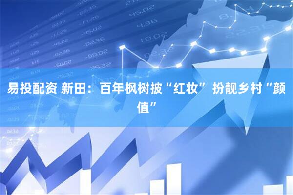 易投配资 新田：百年枫树披“红妆” 扮靓乡村“颜值”